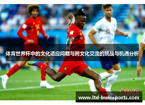 体育世界杯中的文化适应问题与跨文化交流的挑战与机遇分析