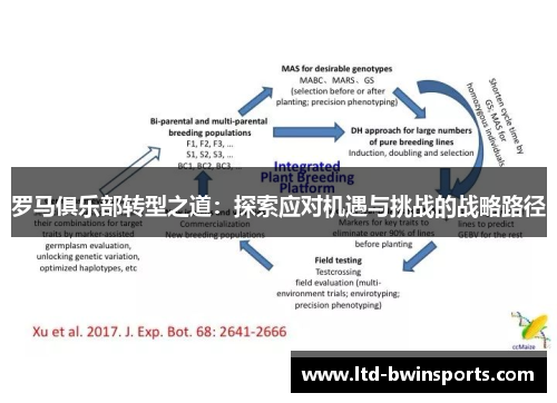 罗马俱乐部转型之道：探索应对机遇与挑战的战略路径
