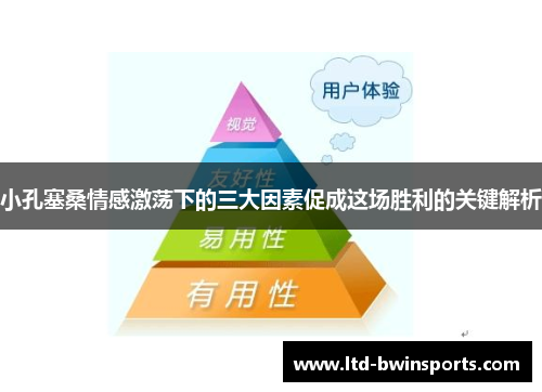 小孔塞桑情感激荡下的三大因素促成这场胜利的关键解析
