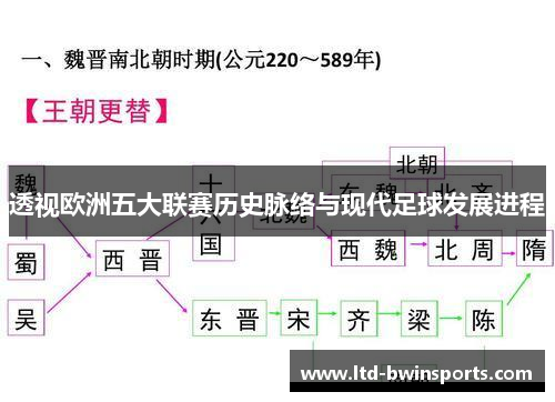 透视欧洲五大联赛历史脉络与现代足球发展进程